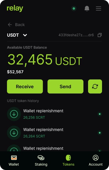 USDT token page with available balance, Receive and Send buttons and a list of wallet replenishment transactions